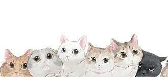 Wallpaper, gambar, kucing, expresi, lucu, marah, cute, sedih, name : Zhest Cat Background Cat Art Cat Illustration