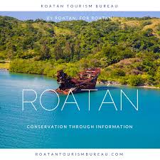 On the southernmost tip of roatán island, honduras, overlooking west bay beach, grand roatán caribbean resort is a rare tropical gem that merges authenticity with unmatched luxury and elegance. Shipwreck In Dixon Cove Roatan Royal Caribbean Cruise Shore Excursions