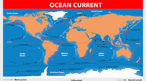 Ocean currents flow in complex patterns and are the gulf stream is one of the strongest ocean currents in the world. Disappearing Sea Ice Could Weaken Gulf Stream By Half Polar News