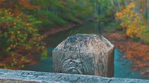 Maybe you would like to learn more about one of these? John Bryan State Park Ohio Youtube
