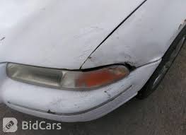 Image result for Light Silverfern 1995 Chrysler