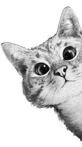 Schöne malvorlagen für kinder beliebte bilder zum ausmalen. Buy Amazon Amzn To 31bcjok Q Schne Zeichnung Schne Zeichnung Katze Zeichnung Beautiful Dra Katzen Zeichnungen Illustration Katze Zeichnungen Tiere