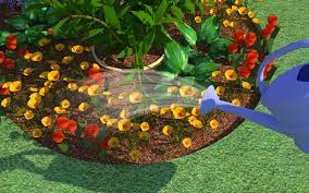 The labor of tending to your plants boosts physical health these hardy flowers are tough to kill—in most areas of the united states, pansies are resilient enough to survive winter temperatures. How To Start A Flower Garden With Pictures Wikihow