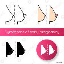 Breast And Nipple Change Icon Early Symptom Of Pregnancy Female Stock Vector Crushpixel