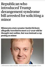 DFL Endorsement Issues in Minneapolis City Council