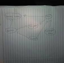 2 A Apa Yang Terjadi Apabila Kelinci Punah B Apa Yang Akan Terjadi Bila Populasi Serigala Brainly Co Id