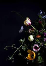 Trendy Flowers Black Background Photography Bouquets Ideas Flowers Black Background Flowers Photography Dark Flowers