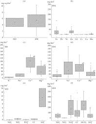 Image result for Isachne buettneri