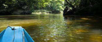 Antara tarikh cuti umum pada bulan ogos adalah 31 ogos iaitu sempena sambutan hari kemerdekaan. Cuti Umum Sarawak 2019 Publicholidays Com My