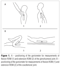 The tool you will use to measure joints is a goniometer. Scielo Brasil Correlacao Entre Flexibilidade Das Articulacoes Glenoumerais E Coxofemorais E O Desempenho Funcional De Idosas Fisicamente Ativas Correlacao Entre Flexibilidade Das Articulacoes Glenoumerais E Coxofemorais E O Desempenho Funcional