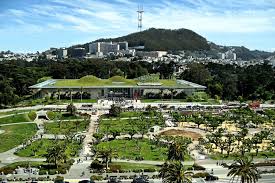 Image result for golden gate park