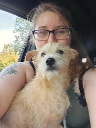 Hi, I'm taylor. I'm a dogaholic I need help 😂 Another stray I couldn't  resist Who can help me with him 😂