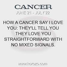 I love you more than any word can say. Love Cancer Zodiacs