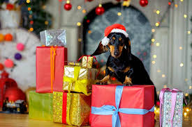 A good list helps a lot. Unique Holiday Gifts For Dog Lovers