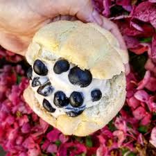 Melonpan Made By Https Www Instagram Com P B1cy8m3aply Check Out 4 Beautiful Photos Ice Cream San Ice Cream Sandwich Homemade Vanilla How To Make Bread