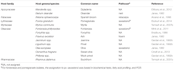 Image result for pseudomonas savastanoi pv nerii oleander symptoms