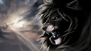 1080p Black And White Lion Wallpaper Black Lion Hd Wallpaper Lion Hd Wallpaper Lion Wallpaper Lion Images