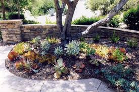 The Shady Areas Under Trees Aren T Just A Place For Dirt These Landscaping Ideas Around Tree Landscaping Around Trees Landscaping With Rocks Succulents Garden