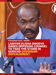 Lawyer Elisha Ongoya