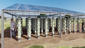 trồng rau thủy canh sử dụng điện mặt trời