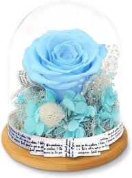 Check spelling or type a new query. China Forever Rose Forever Rose Wholesale Manufacturers Price Made In China Com