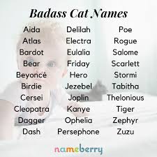 112 Badass Cat Names Book Names Names Badass Names