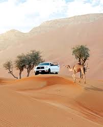 نتائج الاعتداء الجنسي على الضحايا والبيئة