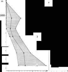 Image result for Oreophyton falcatum