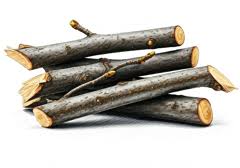 Image result for Lophacme