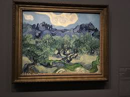 The Olive Trees Van Gogh Museum D Orsay Paris Van Gogh Paintings Van Gogh Art Art