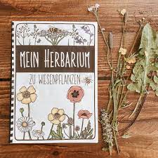 Es dient der dokumentation und präsentation ausgewählter bestände. Morning News17 Herbarium Kostenlose Vorlagen Herbarium Anlegen Tipps Vorlagen Betzold Blog Herba Kraut Ist Eine Sammlung Konservierter Meist Getrockneter Und Gepresster Pflanzen Bzw