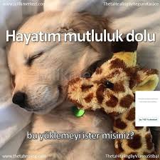 Thetahealing Aplikasyonundan Bugunun Yuklemesi 14 Agustos Ihtiyaci Olan Herkese Verebilecegim Bolca Enerjim Var Hayatim Mutluluk D Hayat Mutluluk Bilinc