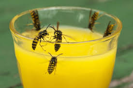 Jenny popach deepfake found Sandys ads, I contacted, she