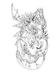 Dragon coloring page for adults: Pin On Coloring
