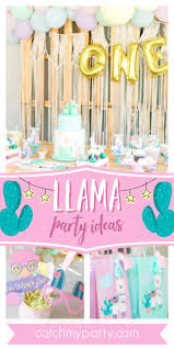 1st Birthday Party Games For Adults Llama Birthday Penny S Whole Llama Fun 1st Birthday Catch My Party In 2020 1st Birthday Party For Girls 1st Birthday Parties Birthday Parties