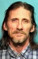 Sex offender gets 15-year term in prison