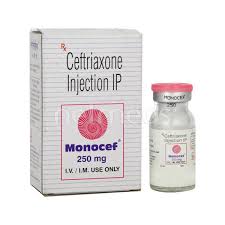 Check out their videos, sign up to chat, and join their community. Monocef 250mg Injection 1 S Buy Medicines Online At Best Price From Netmeds Com
