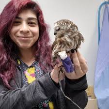 HOFFMAN VETERINARY CLINIC