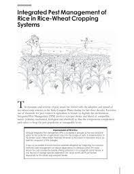 For the backyard fruit grower. Integrated Pest Management Of Rice In Rice Wheat Cropping Systems Pdf