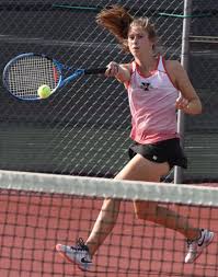 Gazelles Take Two In Home Triangular