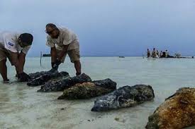 Check spelling or type a new query. Inilah Operasi Paling Berbahaya Di Dunia Temukan Harta Karun Berbeda Bersihkan Sisa Sisa Bom Perang Dunia Ii Yang Tidak Meledak Di Lautan Pasifik Semua Halaman Intisari