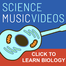 For your search query cell plant and animal lecture 01 mp3 we have found 1000000 songs matching your query but showing only please note: The Cell Song Youtube