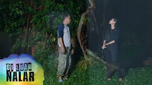 Sekilas pandang, pokok ara hampir serupa dengan pokok beringin dan merupakan tempat tinggal bagi segala macam jenis hantu. Sosok Hantu Pocong Penunggu Pohon Beringin Kembar Di Luar Nalar Youtube