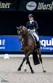 We did not find results for: Allgemein Archives Seite 2 Von 37 Amadeus Horse Indoors