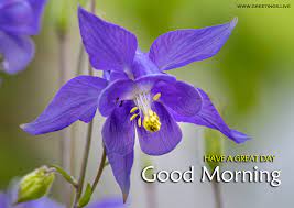 Maybe you would like to learn more about one of these? Good Morning Greetings Images In English