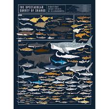 Pop Chart Lab Posters Sale 10 Off Authorized Retailer