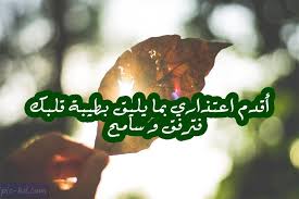 صور أسف واعتذار عبارات أسف واعتذار مكتوبة علي صور Holiday Decor Christmas Ornaments Holiday
