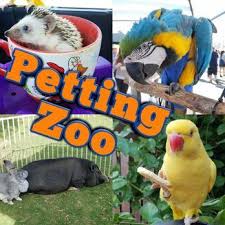 Start your search and get free quotes now! Pin On Petting Zoo The Best In San Diego