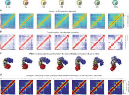 'cacace' is a southern italian name and the meaning of the name is 'wicked'. Transcriptional Activation During Cell Reprogramming Correlates With The Formation Of 3d Open Chromatin Hubs Nature Communications