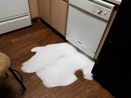 Take all the dishes still inside the dishwasher out and move them into the sink. I Learned The Hard Way Why Regular Dishwashing Soap Should Never Be Used In A Dishwashing Machine Wellthatsucks